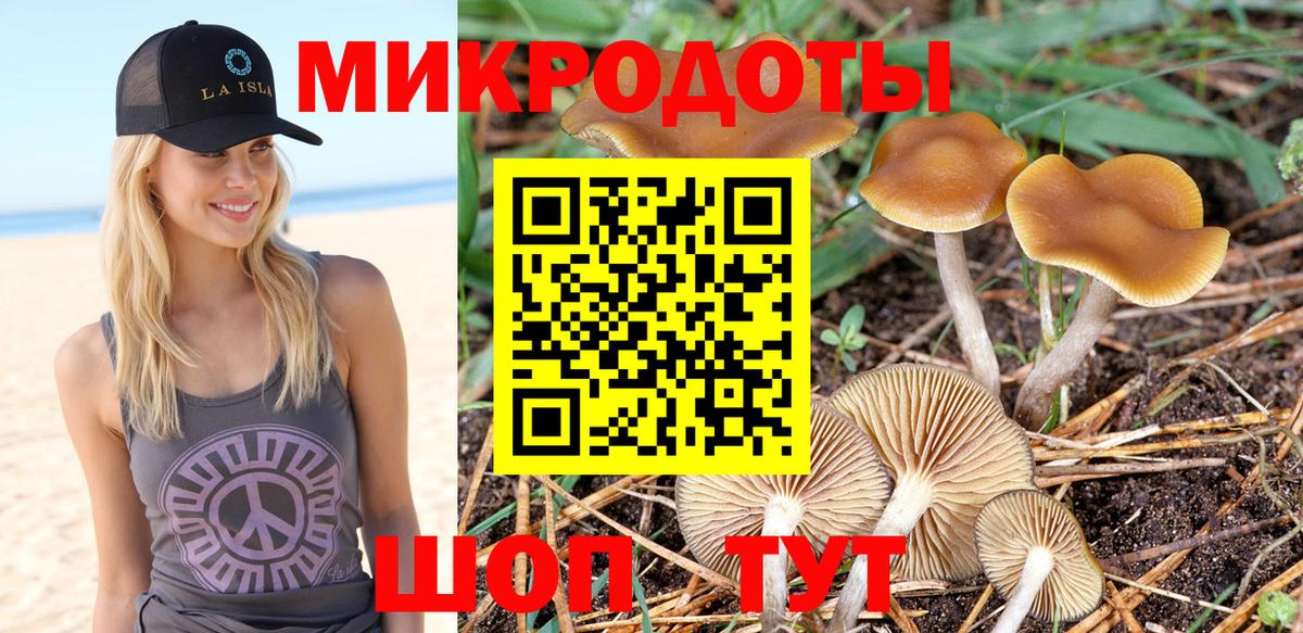 Галлюциногенные грибы MAGIC MUSHROOMS  Вход с VPN  Астрахань 