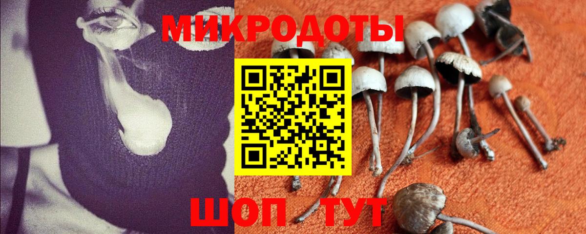 Псилоцибиновые грибы мухоморы Астрахань